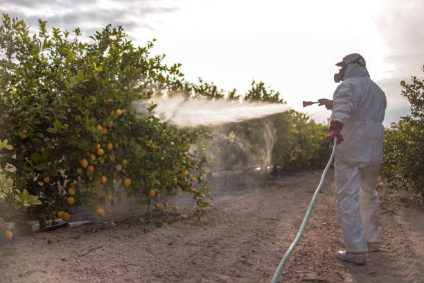 Best Affordable Pest Control Services  in Ancient Oaks, PA