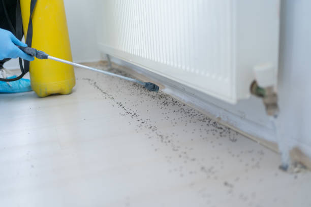 Professional Pest Control in Ancient Oaks, PA