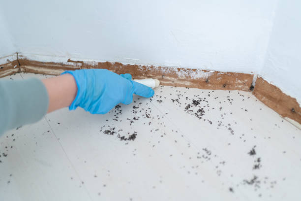 Best Insect Control  in Ancient Oaks, PA