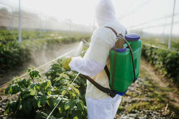 Best Exterminator Services  in Ancient Oaks, PA